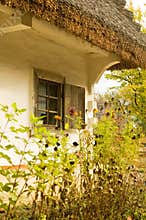 Old house