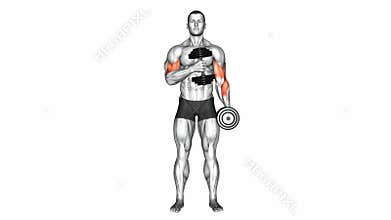 Dumbbell Cross Body Curl exercise
