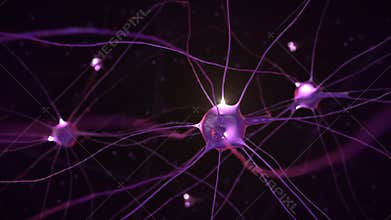 Animation of the nervous system and impulses of brain neurons under a microscope