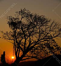 Sunrise