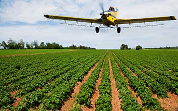 Crop dusting