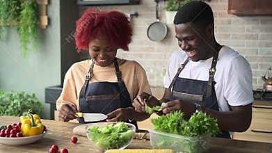 Young woman, man cooking salad and laughing while standing at table in home kitchen spbd.