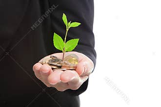 Hand with green plant growing from money