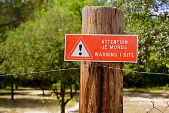 Be carful warning I bite sign text in english and french on wooden panel for protect to dog horse or animals