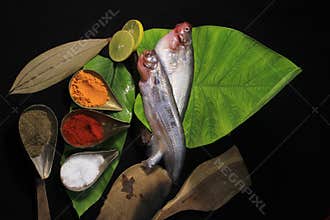 Marinated fresh fish with vegetables on a black background.