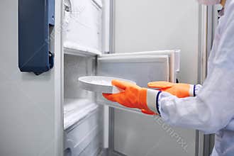 Scientists work in the laboratory. Remove the biomaterial from the freezer