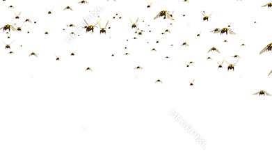 Swarm of Bees Fly Green Screen 3D Loop Background animation.