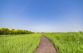 Tianjin Xiqing Country Park natural scenery