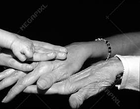Hands of four generations