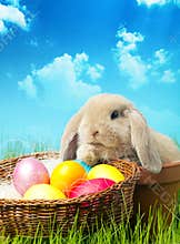 Easter bunny