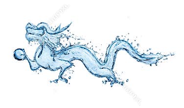 Water dragon