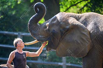 Visit the zoo and see zookeeper caring about shower and mouth hygiene for elephant in Wuppertal, Germany. Confidence, reliabityli