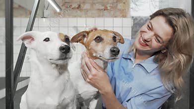 Cheerful female vet smiling to the camera while petting cute dogs