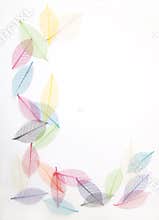 Leaves frame in pretty colors