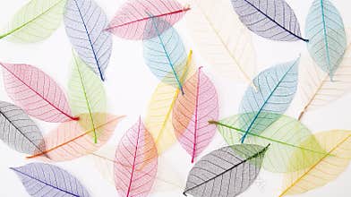 Leaves background in pretty pastel colors