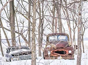 Abandoned Vintage Vehicles in Snowy Forest