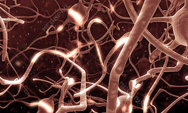 Active nerve cell in human neural system