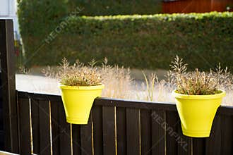 Closeup of two yellow pots with plants attached to the house deck on  the bush background