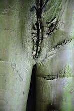 Naughtiness in Nature