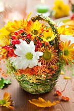 Autumn flowers