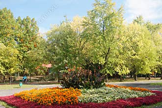Generic vegetation in Park Slaski in Chorzow, Poland