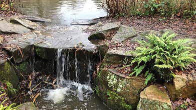 A Winter water fall in the Isabella Plantation garden in Richmond Park