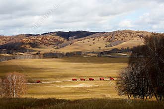 Driving off-road vehicle on grasslands, Inner Mongolia, China