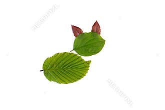 leaf animals clip art, DIY, land art and fall activity with kindergarten children, easy craft ideas