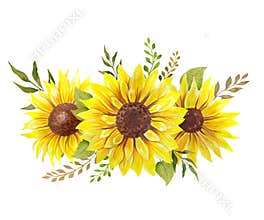 Watercolor sunflowers bouquet, hand painted sunflower bouquets, sunfower flower arrangement. Wedding invitation clipart elements.