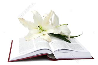 Bible
