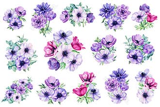 Bouquet of flowers. Watercolor anemones. Floral isolated elements for wedding, invitations, postcards. Watercolor