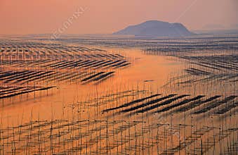 Fujian Xiapu Beach Sunrise,China