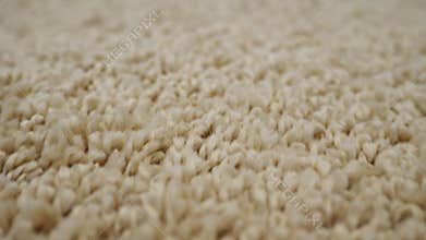 Close-up of light beige carpet camera movement