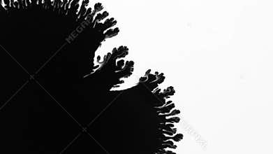 Black ink blot runs on white background.