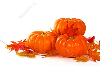 Close up of pumpkins and leaves on the table.
