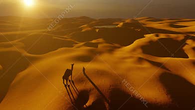 Arab man with a camel overlooking the sand dunes to spot an oasis