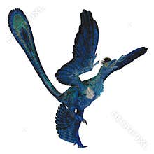 Microraptor Reptile Tail