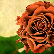 Retro style background with rose