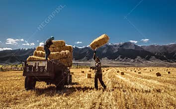 Collecting grass roll