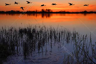 Dusk by the lake