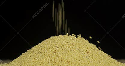 Falling grain onto a heap of millet seeds. Rotating pile of grain. Isolated