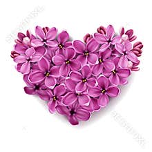Heart from flowers of a lilac.