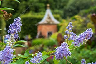 Gazebo in the garden at Hidcote Manor, near Hidcote Bartrim in the Cotswolds, Gloucestershire UK.