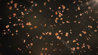 Thanksgiving holiday autumn falling animation background