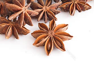 Illicium verum, Star Anise, spice, herb