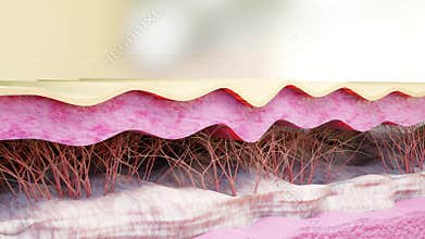 Skin Layer Rinse Smoothing. Skin care action Collagen repair effect,