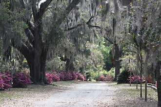 A Peaceful Place