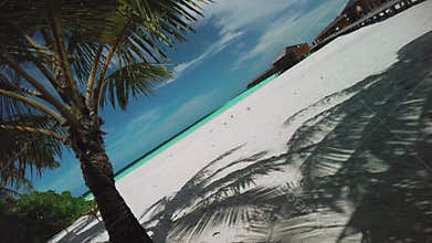 Beach with palm tree casting dense shadow on white sand