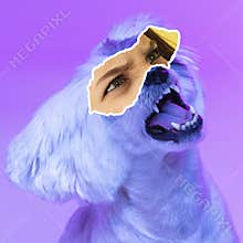 Contemporary art collage of dog with female eyes element  over white purple. Anger and irritation