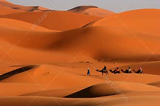 Walking in the desert